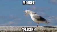 может февзи?