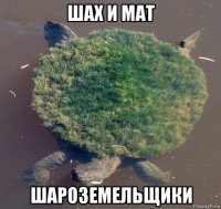 шах и мат шароземельщики