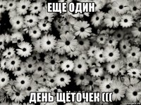 еще один день щёточек (((