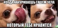 когда накуриваешь гашем чела который тебе нравится