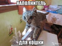наполнитель для кошки
