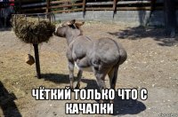  чёткий только что с качалки