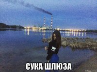  сука шлюза