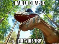 нашел в парке лягушечку