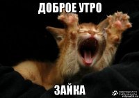 доброе утро зайка