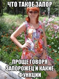 что такое запор проще говоря запорожец и какие функции