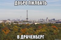 добро пжлвать в драченберг
