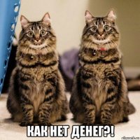  как нет денег?!