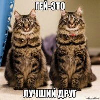 гей-это лучший друг