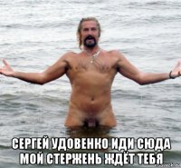  сергей удовенко иди сюда мой стержень ждёт тебя