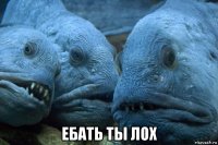  ебать ты лох