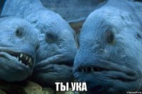  ты ука