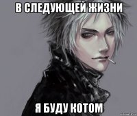 в следующей жизни я буду котом