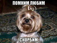 помним любим скорбим