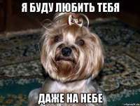 я буду любить тебя даже на небе