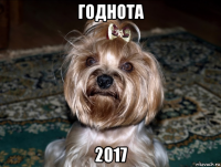годнота 2017