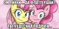 эм пинки ... да флаттершай? ты чудесная подруга...