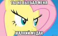 ты не выебал меня жалкий мудак