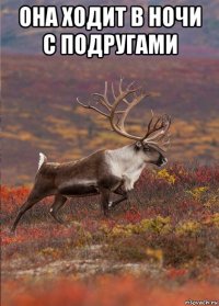 она ходит в ночи с подругами 