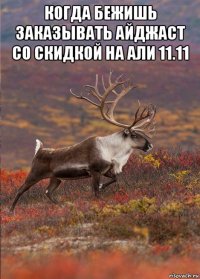 когда бежишь заказывать айджаст со скидкой на али 11.11 