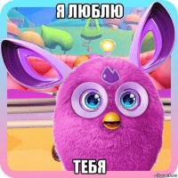 я люблю тебя
