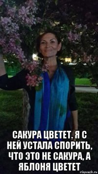  сакура цветет. я с ней устала спорить, что это не сакура, а яблоня цветет