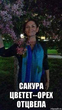  сакура цветет--орех отцвела