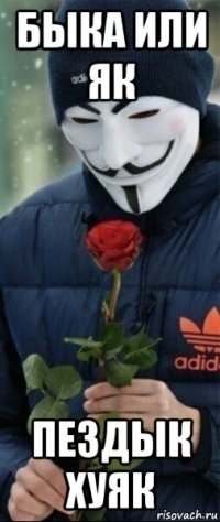 быка или як пездык хуяк