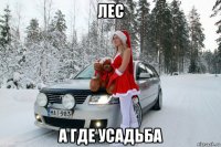 лес а где усадьба
