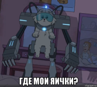  где мои яички?