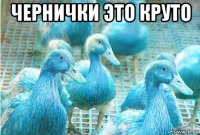 чернички это круто 