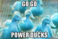 go go power ducks