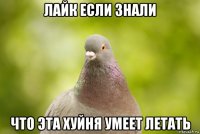 лайк если знали что эта хуйня умеет летать