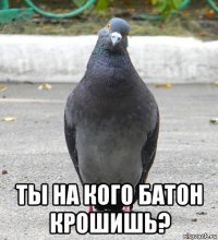  ты на кого батон крошишь?