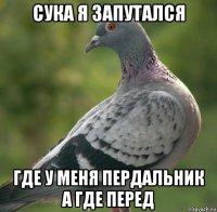 сука я запутался где у меня пердальник а где перед