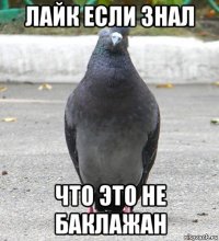 лайк если знал что это не баклажан
