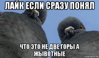 лайк если сразу понял что это не две горы а жывотные