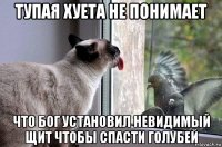тупая хуета не понимает что бог установил невидимый щит чтобы спасти голубей