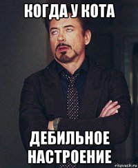 когда у кота дебильное настроение