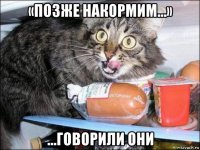 «позже накормим…» ...говорили они