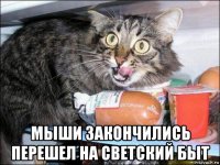  мыши закончились перешел на светский быт