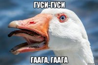 гуси-гуси гаага, гаага