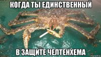 когда ты единственный в защите челтенхема
