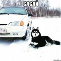 сасай 
