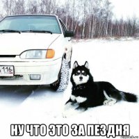  ну что это за пездня