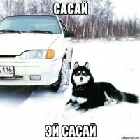 сасай эй сасай