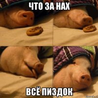 что за нах всё пиздок