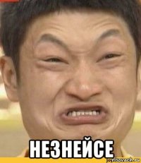  незнейсе