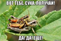 вот тебе, сука. получай! да! да! еще!