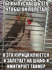 ты выпускаешь его, чтобы он полетал а эта курица клюется и залетает на шкаф и имитирует таймер